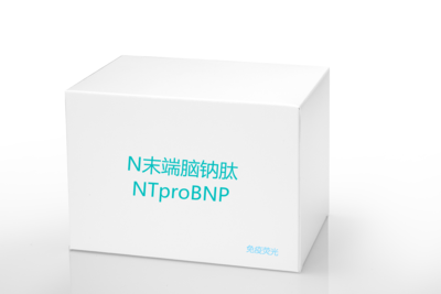 N-terminal Brain Natriuretic Peptide